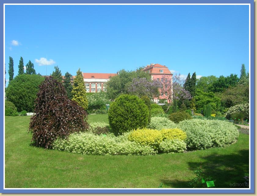 To jest ostatnie Zdjęcie